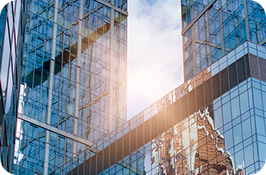 Networking para emprendedores